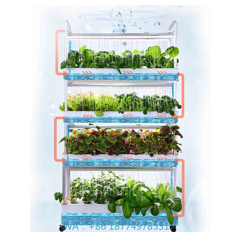 ydroponic Planting System Smar - Home Automation Diy recension och pris