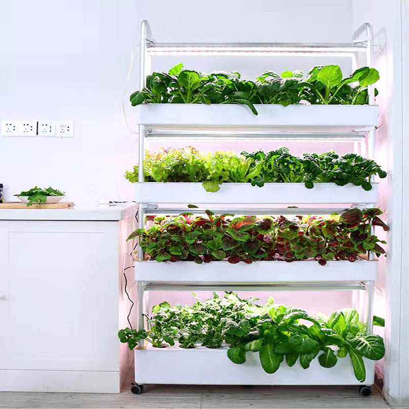 ydroponic Planting System Smar - Home Automation Diy recension och pris