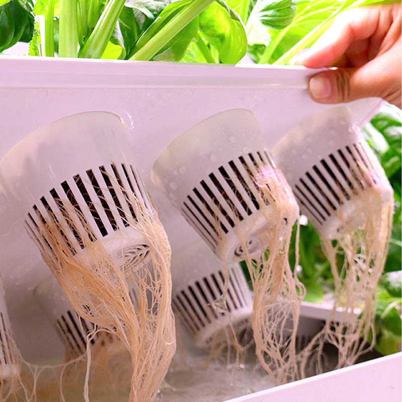 ydroponic Planting System Smar - Home Automation Diy recension och pris