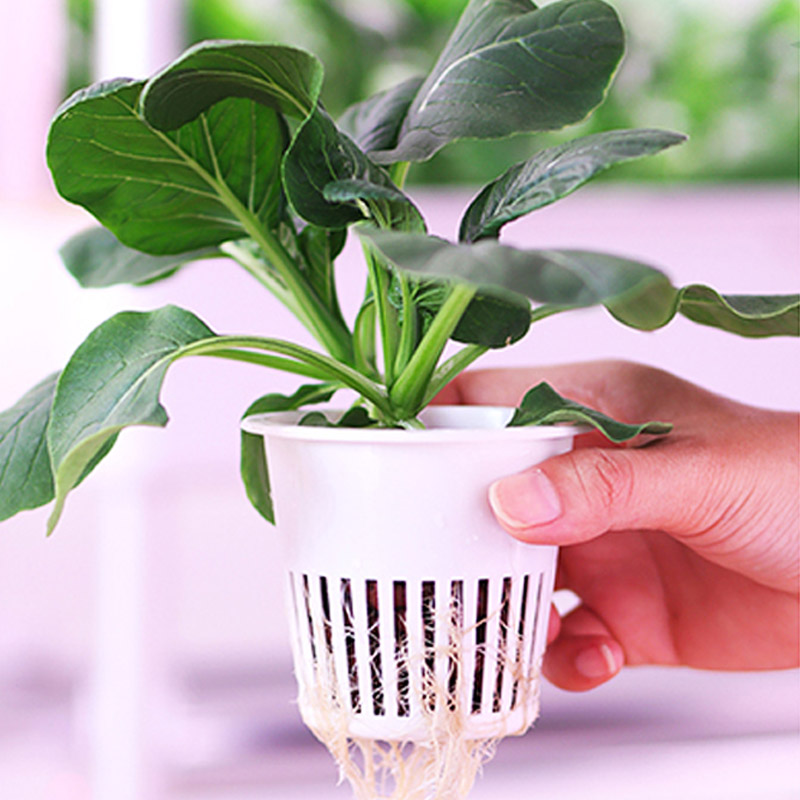 ydroponic Planting System Smar - Home Automation Diy recension och pris
